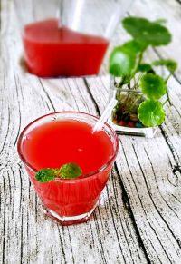 蜂蜜西瓜汁的做法步骤9