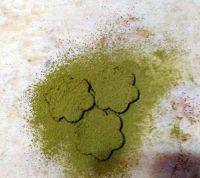 可可奶油围边蛋糕#妙搭新食尚#的做法步骤10