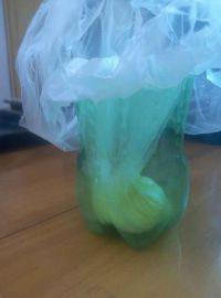 蛋白薄脆饼的做法步骤5