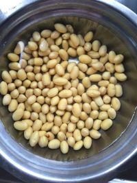 红枣绿豆豆浆的做法步骤1