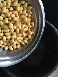 红枣绿豆豆浆的做法步骤3